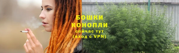сатива Кодинск
