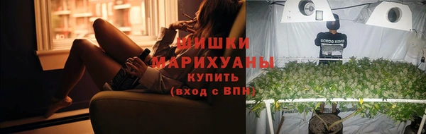 сатива Кодинск