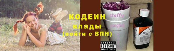 сатива Кодинск