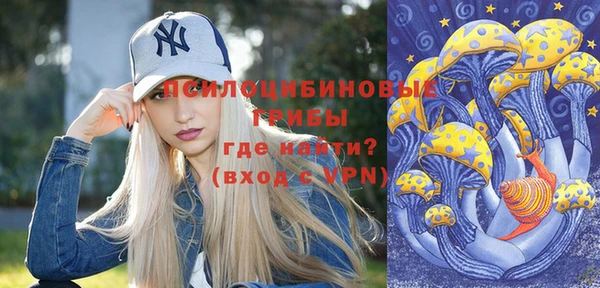 сатива Кодинск
