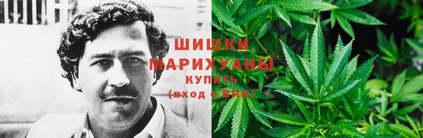 сатива Кодинск