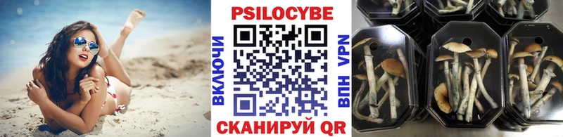 Галлюциногенные грибы Cubensis  Купить закладки  Рубцовск 